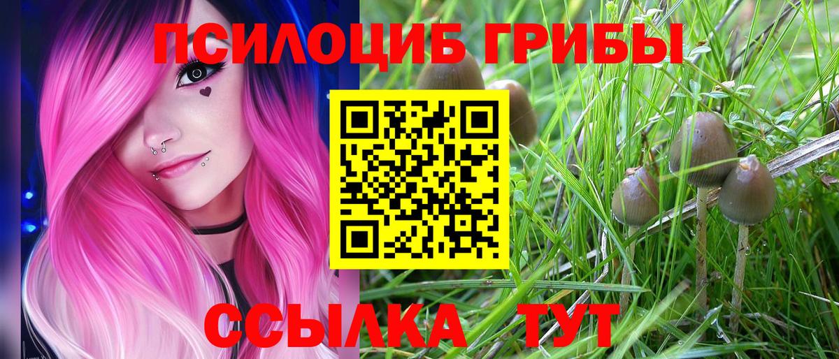 Галлюциногенные грибы Psilocybine cubensis  Вход с VPN  Юрга  Псилоцибиновые грибы прущие грибы 