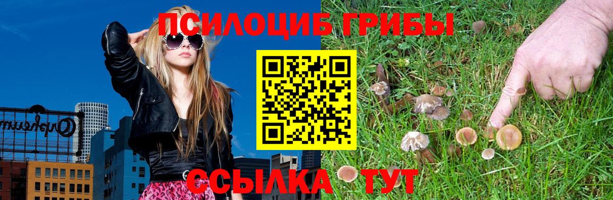 Псилоцибиновые грибы MAGIC MUSHROOMS Юрга